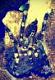 Patryk034