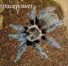 Awatar spacepower