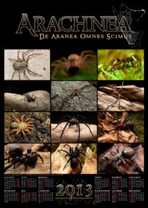 Kalendarze 2013 Arachnea.org – Zapraszamy do kupna!